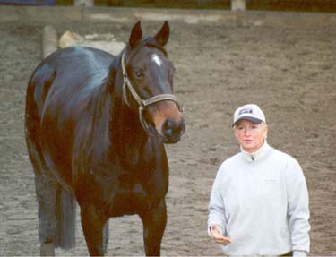 Equine studies: one on one equine educational courses from Herdword
