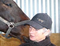 Equestrian consultancy - behavioural problems