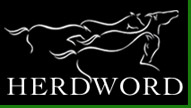 Horse psychology and behaviour: equine educational programmes run by Herdword, New Zealand