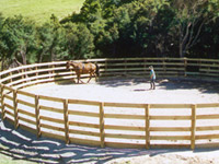 A distraction free training environment for horses and superb facilities